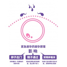 0801701-仁和左炔诺孕酮片4片/盒